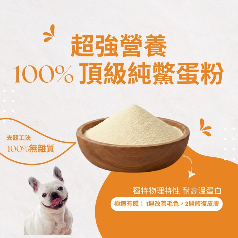 嚴選100%純10倍濃縮鱉蛋粉,富含耐高溫蛋白營養