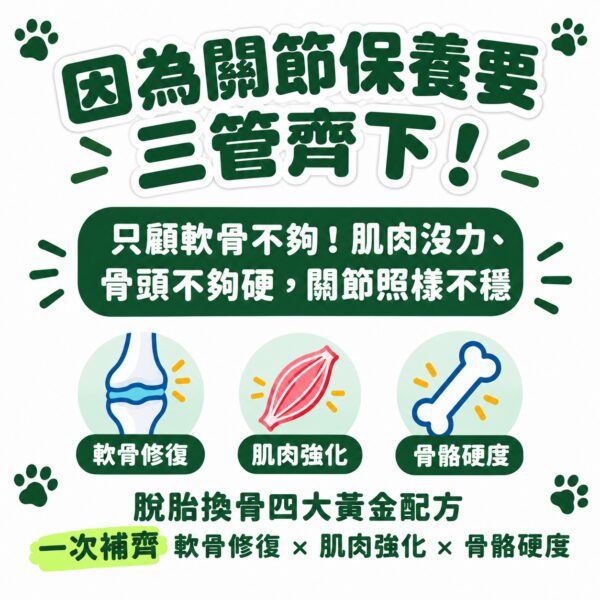 因為關節保養要三管齊下，脫胎換骨一次補齊軟骨肌肉骨骼三大防護