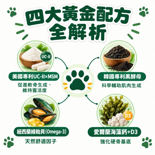 四大黃金配方全解析，UC-II黑酵母綠貽貝海藻鈣全方位守護犬貓關節