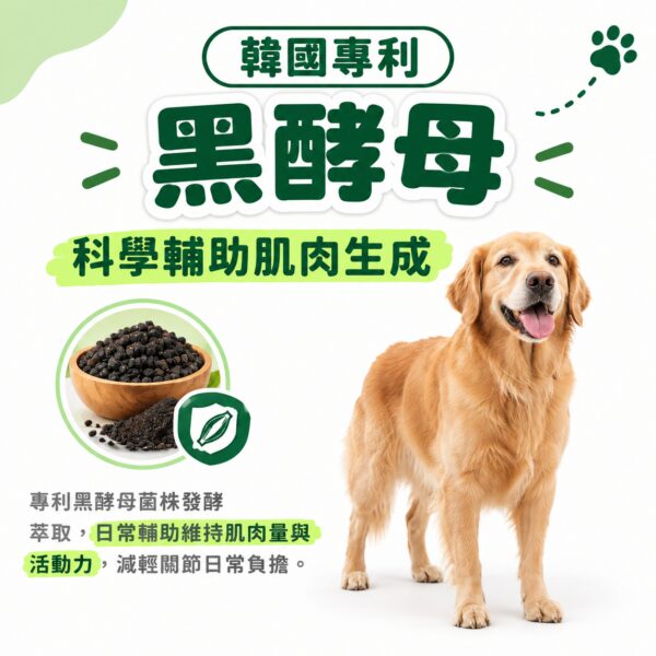韓國專利黑酵母Polycan，日常輔助骨骼與肌肉強健