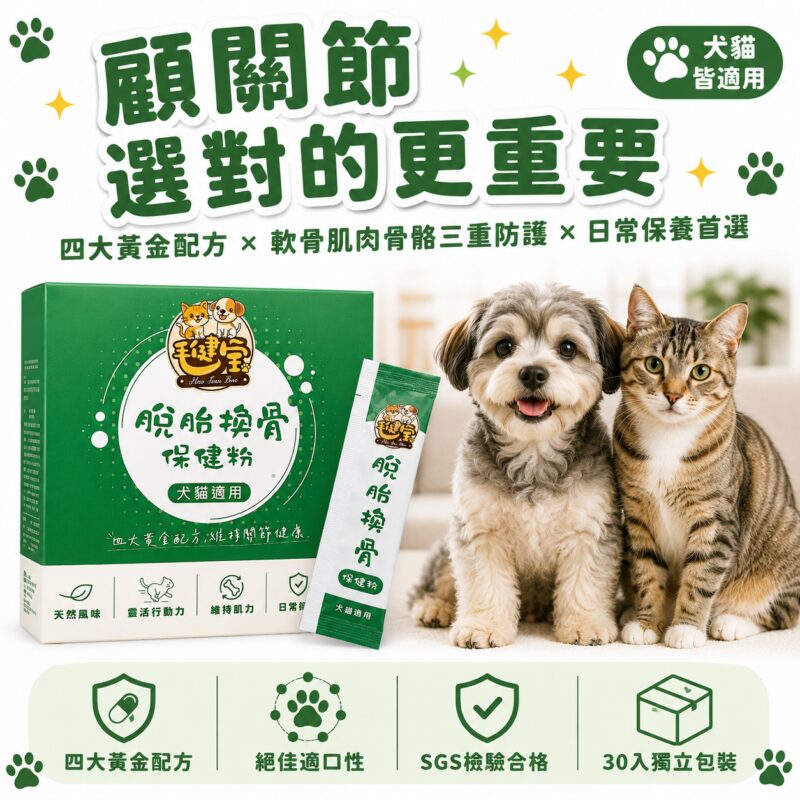 脫胎換骨保健粉-關節保健產品