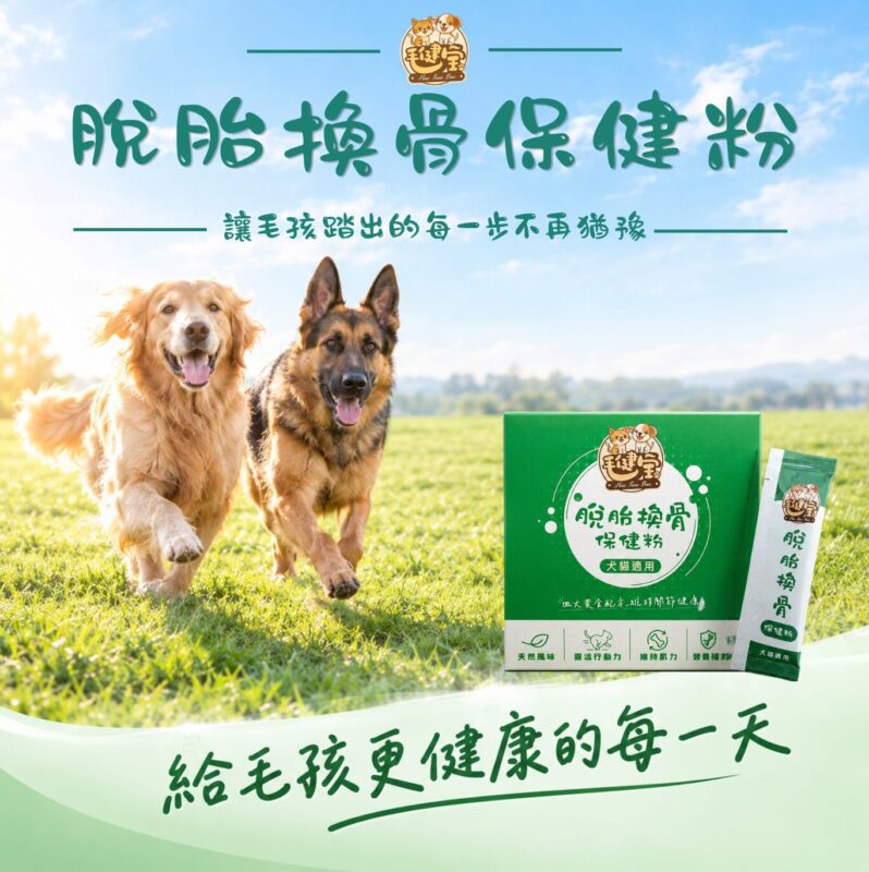 毛健寶脫胎換骨保健粉犬貓關節保健粉，黃金獵犬與德國牧羊犬在草地上開心奔跑