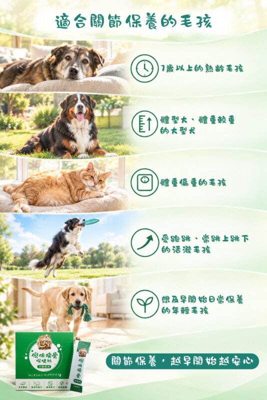 適合關節保養的毛孩，7歲以上熟齡毛孩、大型犬、體重偏重、愛跑跳的活潑毛孩、想及早保養的年輕毛孩