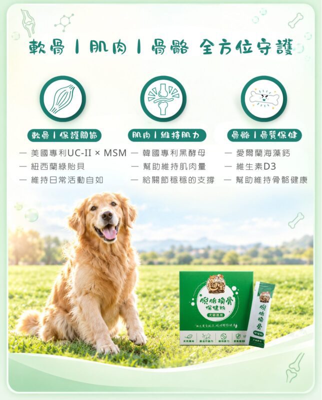脫胎換骨保健粉軟骨、肌肉、骨骼一次照顧，保護關節、維持肌力、骨質保健