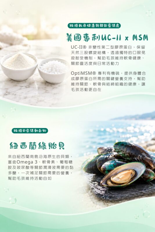 美國專利UC-II二型膠原蛋白搭配MSM有機硫，紐西蘭綠貽貝富含Omega-3，幫助關節保養
