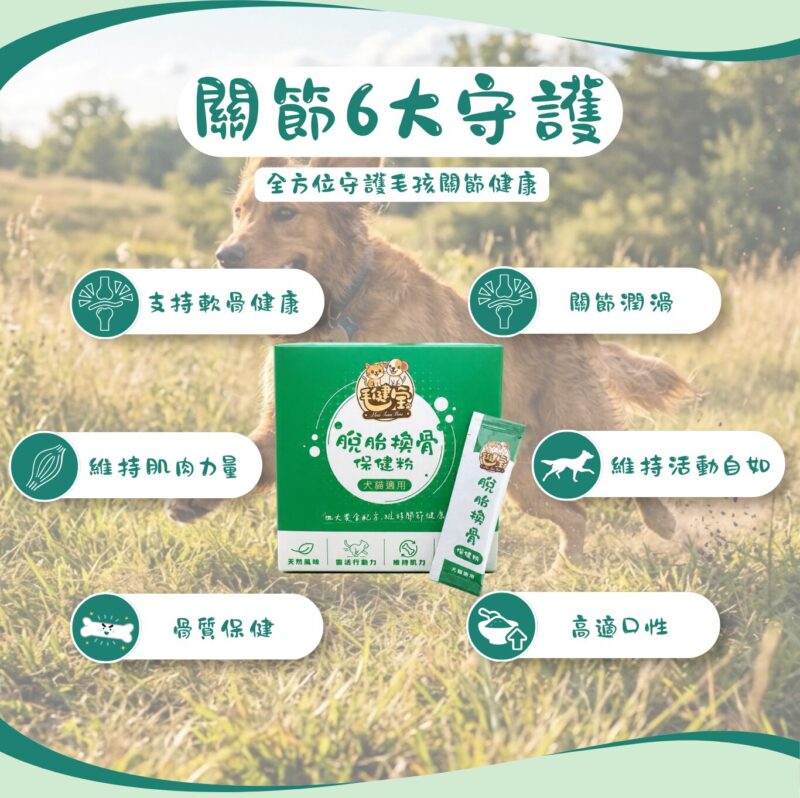 關節6大守護，支持軟骨健康、關節保健、維持肌肉力量、維持活動自如、骨質保健、高適口性