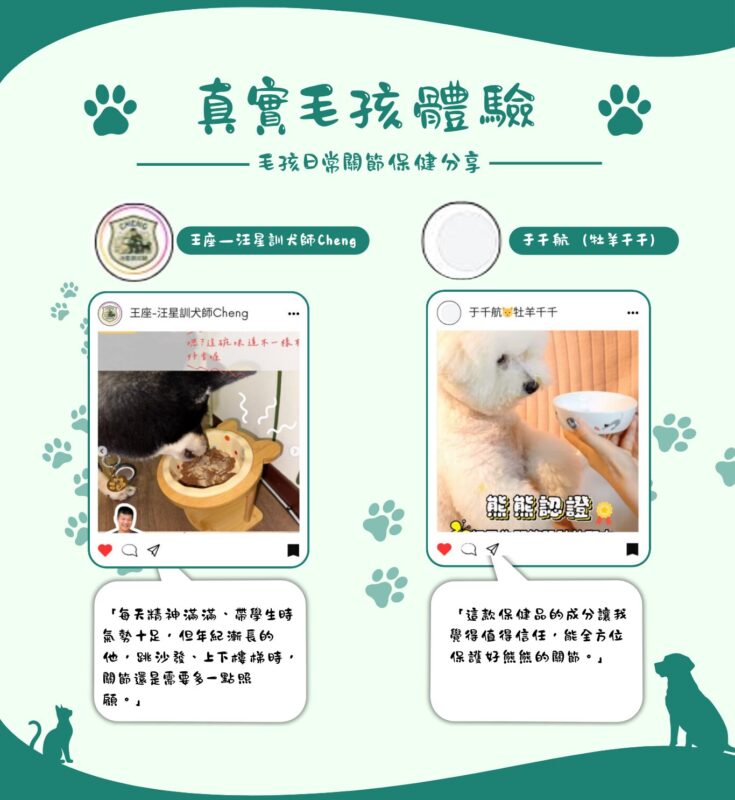 真實毛孩體驗，汪星訓犬師Cheng與牡羊千千家的熊熊日常補充脫胎換骨保健粉的關節保健分享