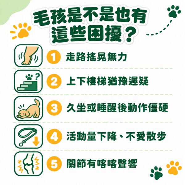 毛孩走路無力上下樓梯困難等5大關節問題自我檢測清單