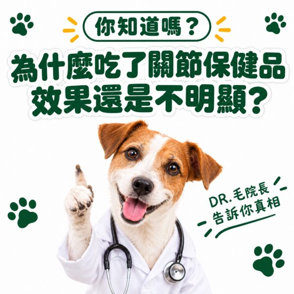 為什麼吃了關節保健品效果不明顯？DR毛院長告訴你真相－脫胎換骨保健粉