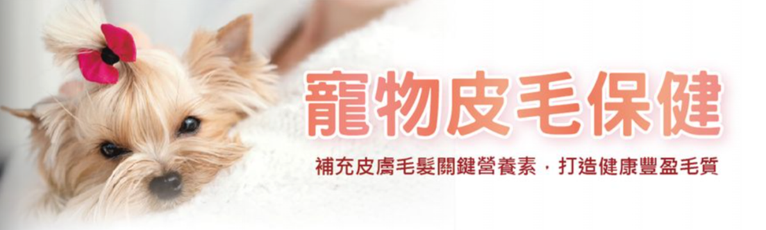 寵物皮膚毛髮爆毛保健-首頁幻燈片