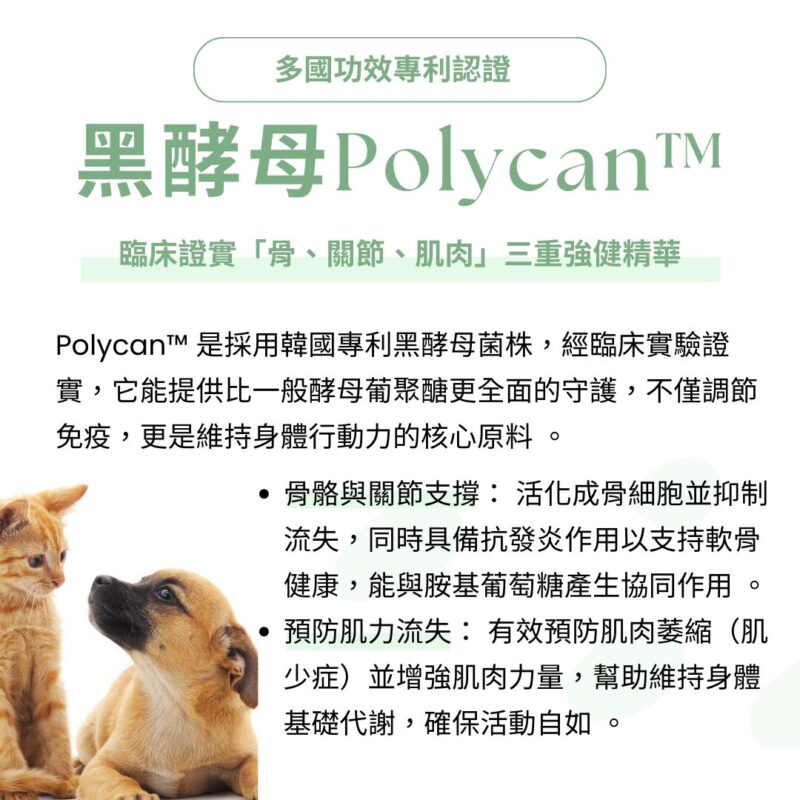 脫胎換骨犬貓關節粉4大黃金配方：UC-II、MSM、黑酵母、綠貽貝