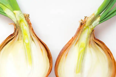 狗狗不能吃的10大禁忌食物