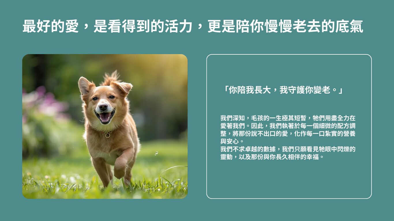 毛健寶情感頁視覺，展示快樂奔跑的狗狗與品牌承諾，強調 20 年研發守護毛孩長久相伴的幸福。