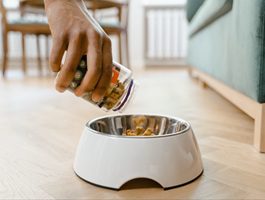 飼主將飼料倒入白色狗碗，代表日常飲食調整是改善狗狗口臭的重要一環