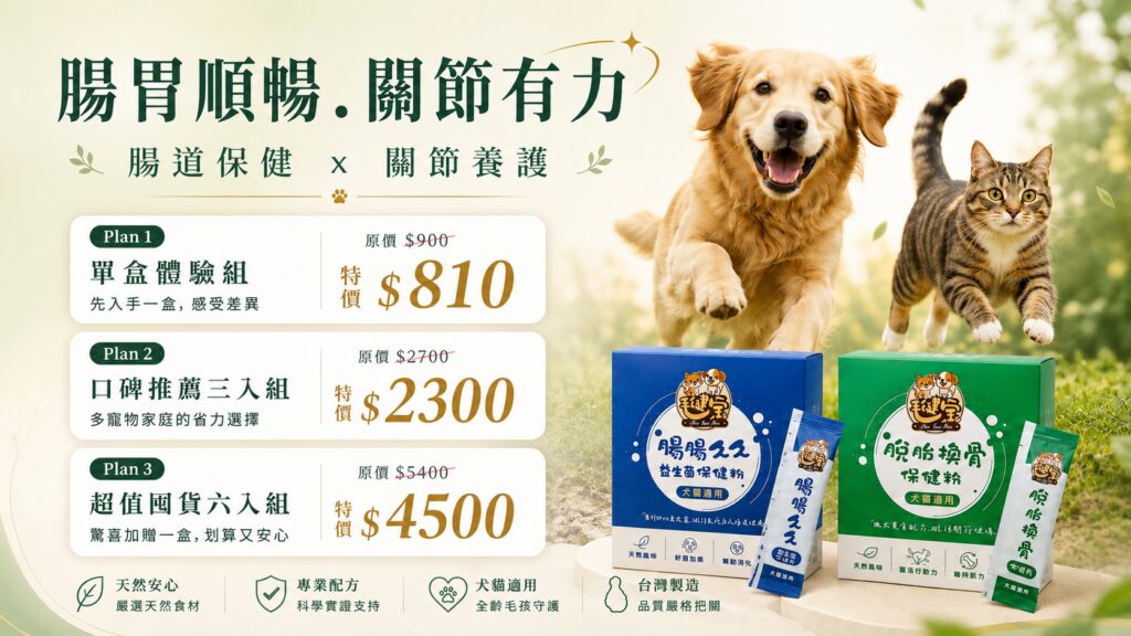 黃金獵犬與貓咪在戶外奔跑，搭配毛健寶腸腸久久益生菌保健粉與脫胎換骨保健粉優惠方案