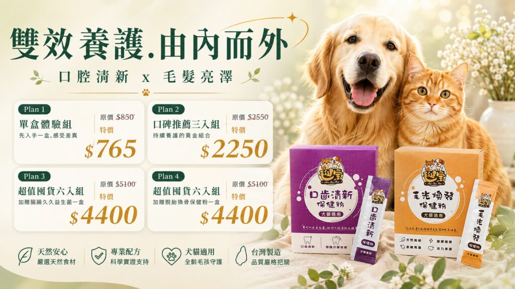 黃金獵犬與橘貓依偎在花束旁，搭配毛健寶口齒清新保健粉與毛光煥發保健粉優惠方案