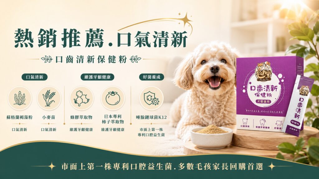貴賓犬與毛健寶口齒清新保健粉，展示蘇格蘭褐藻粉、日本專利柿子萃取物與唾腺鏈球菌K12成分