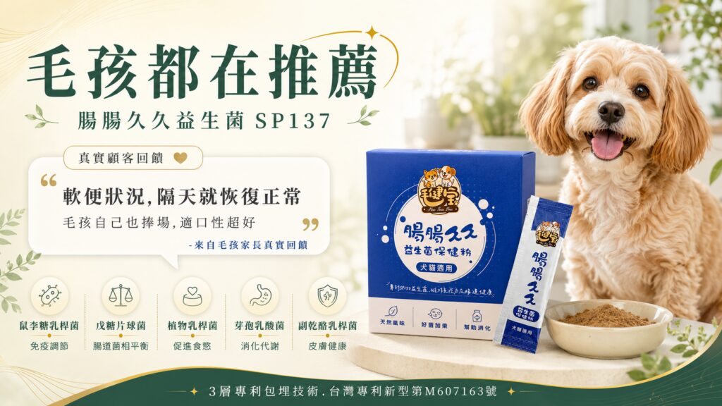 捲毛小型犬坐在腸腸久久益生菌保健粉包裝旁，搭配真實顧客軟便改善回饋與五大菌株說明