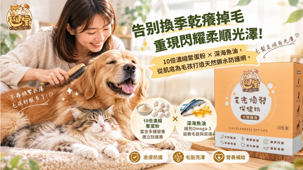 貴賓犬與毛健寶毛光煥發保健粉，展示魚油粉EPA/DHA、葡萄糖酸鋅與鱉蛋粉卵磷脂成分