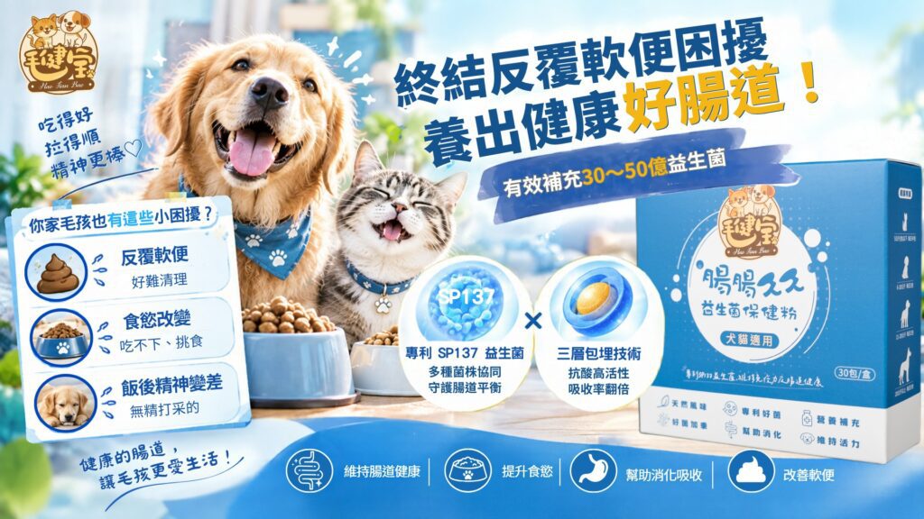 捲毛小型犬坐在腸腸久久益生菌保健粉包裝旁，搭配真實顧客軟便改善回饋與五大菌株說明